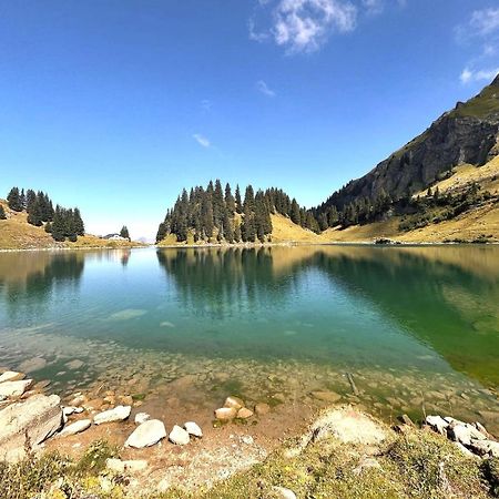 Alpine Dream Chalet With Spa Close To Lake Geneva Les Mosses エクステリア 写真