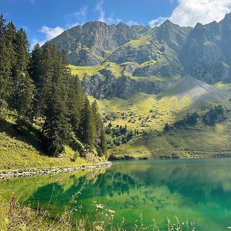 Alpine Dream Chalet With Spa Close To Lake Geneva Les Mosses エクステリア 写真