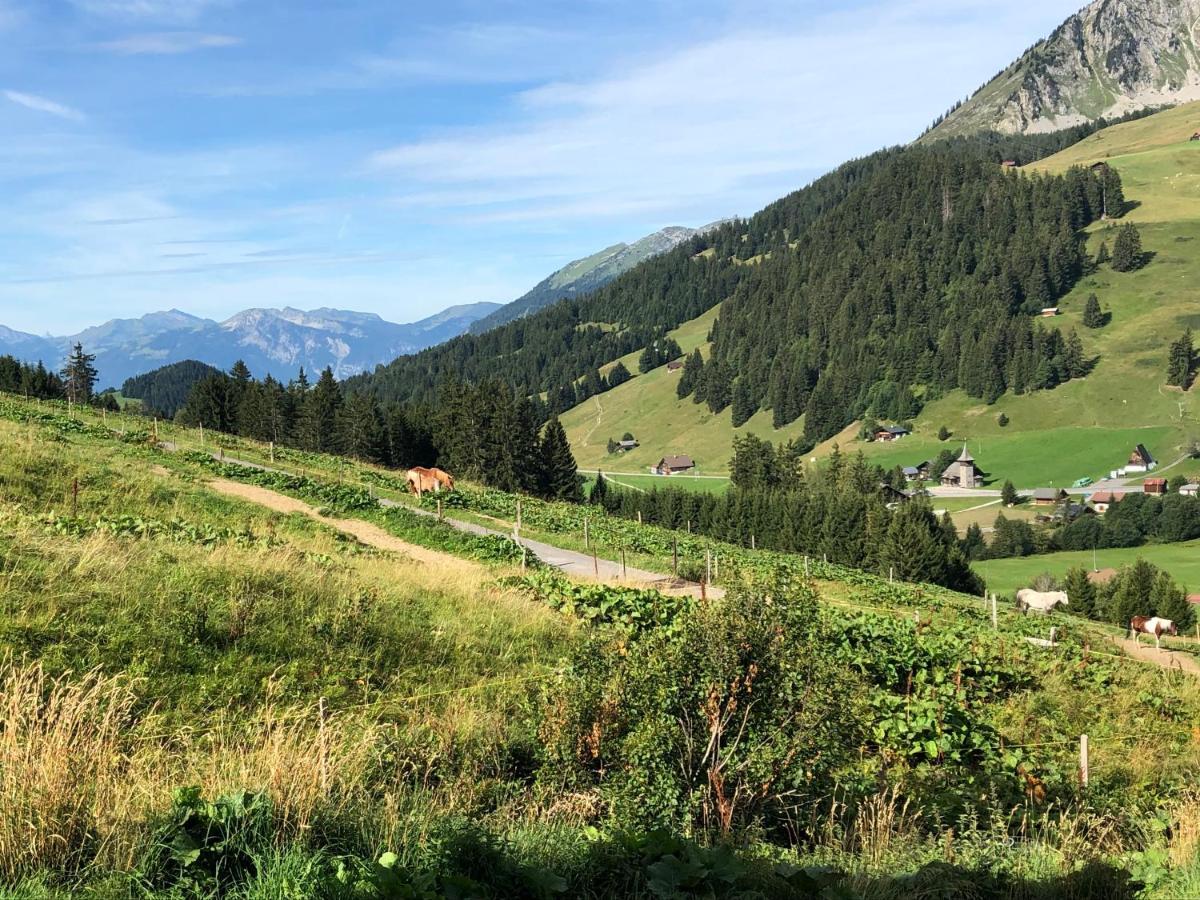 Alpine Dream Chalet With Spa Close To Lake Geneva Les Mosses エクステリア 写真