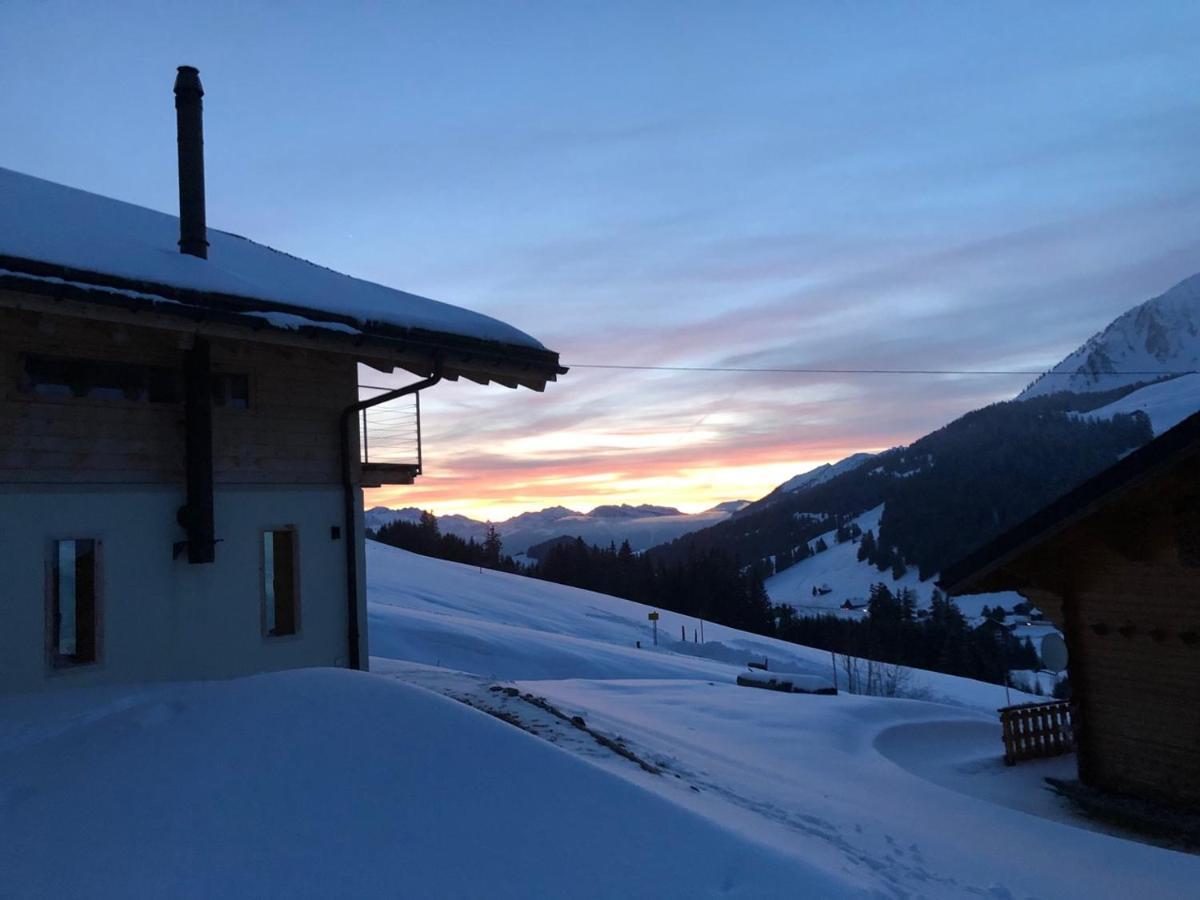 Alpine Dream Chalet With Spa Close To Lake Geneva Les Mosses エクステリア 写真