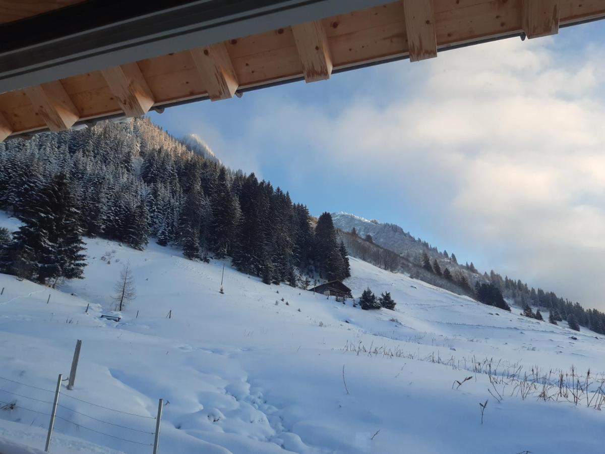 Alpine Dream Chalet With Spa Close To Lake Geneva Les Mosses エクステリア 写真