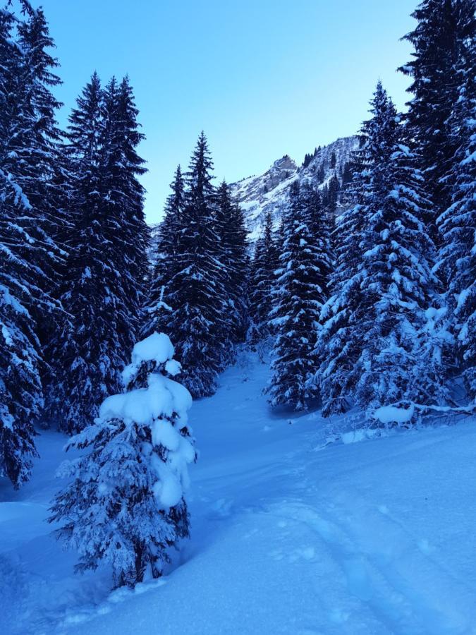 Alpine Dream Chalet With Spa Close To Lake Geneva Les Mosses エクステリア 写真