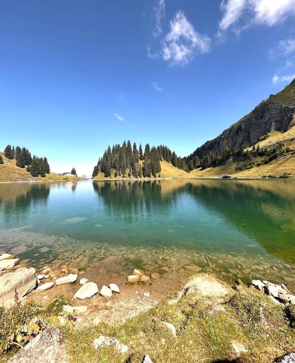 Alpine Dream Chalet With Spa Close To Lake Geneva Les Mosses エクステリア 写真
