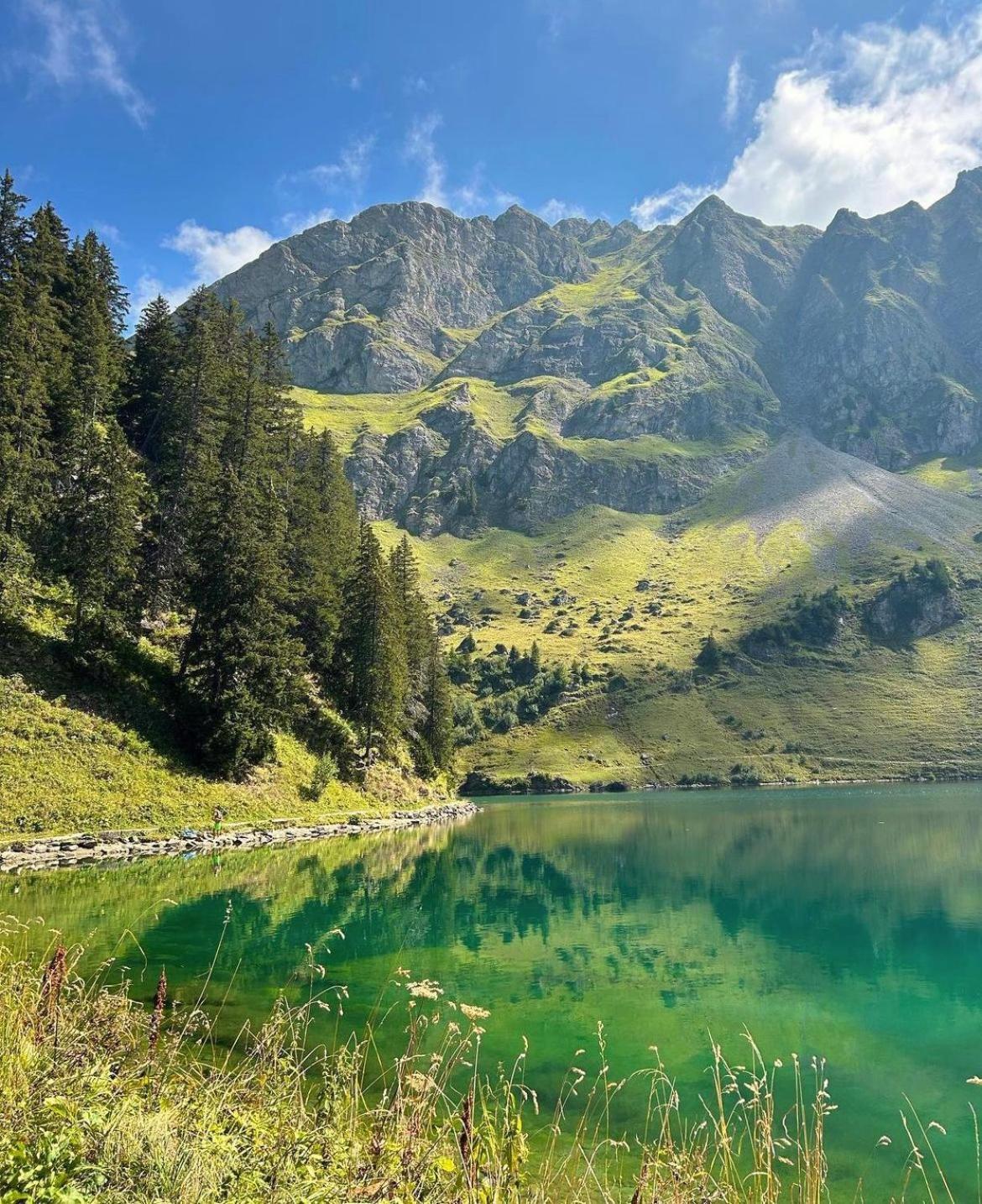 Alpine Dream Chalet With Spa Close To Lake Geneva Les Mosses エクステリア 写真